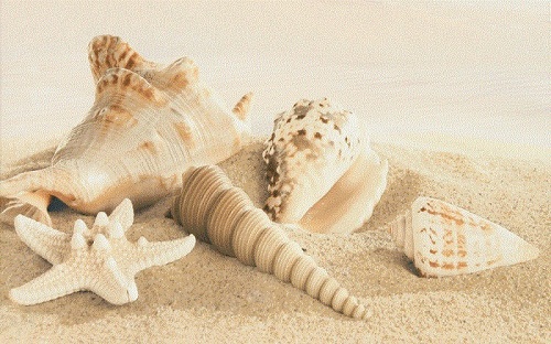  Amalfi sand 01