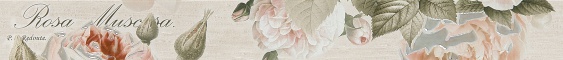 Garden Rose beige border 01