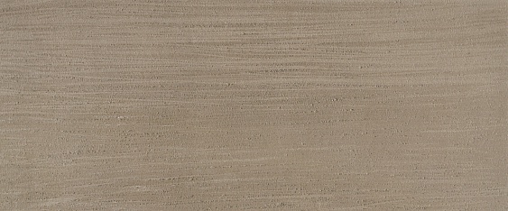   Garden Rose brown wall 02 2560
