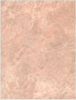     2533